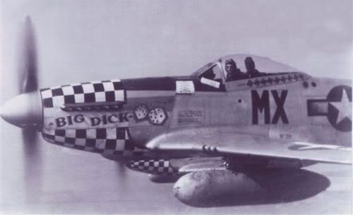 P 51d Skin Historically Accurate Fighters War